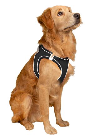Mita Air Mesh Kedi Köpek Göğüs Tasması Çift Reflektörlü, Terletmeyen Saks Mavisi / Blue